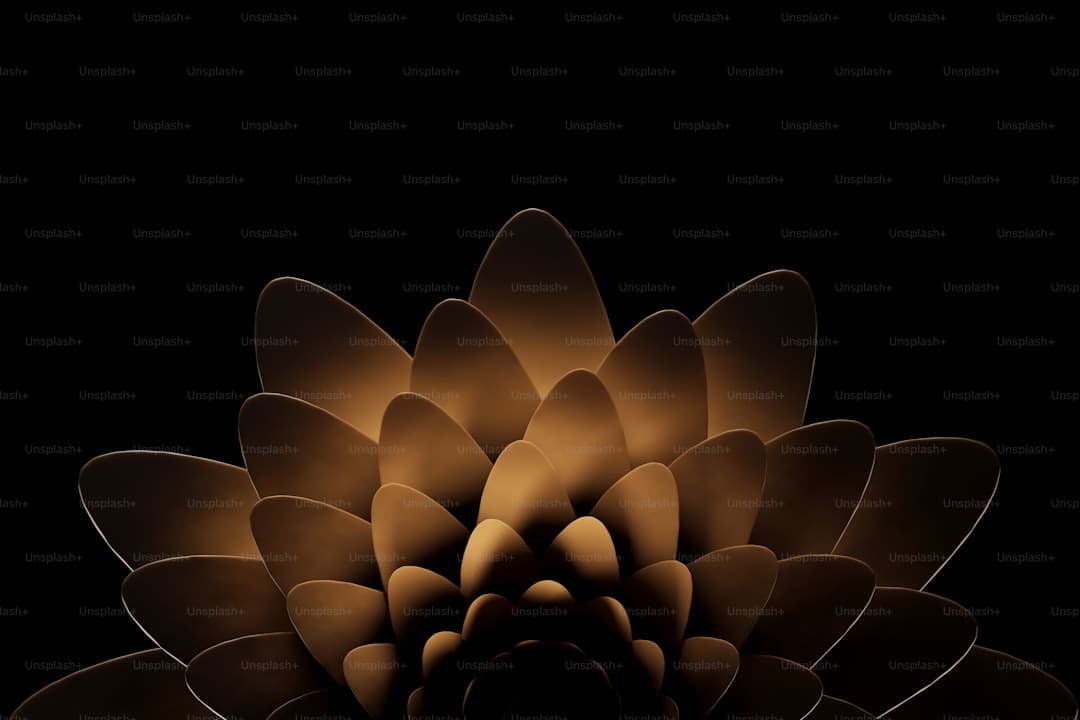 《子夜归》徐凯是干什么的？