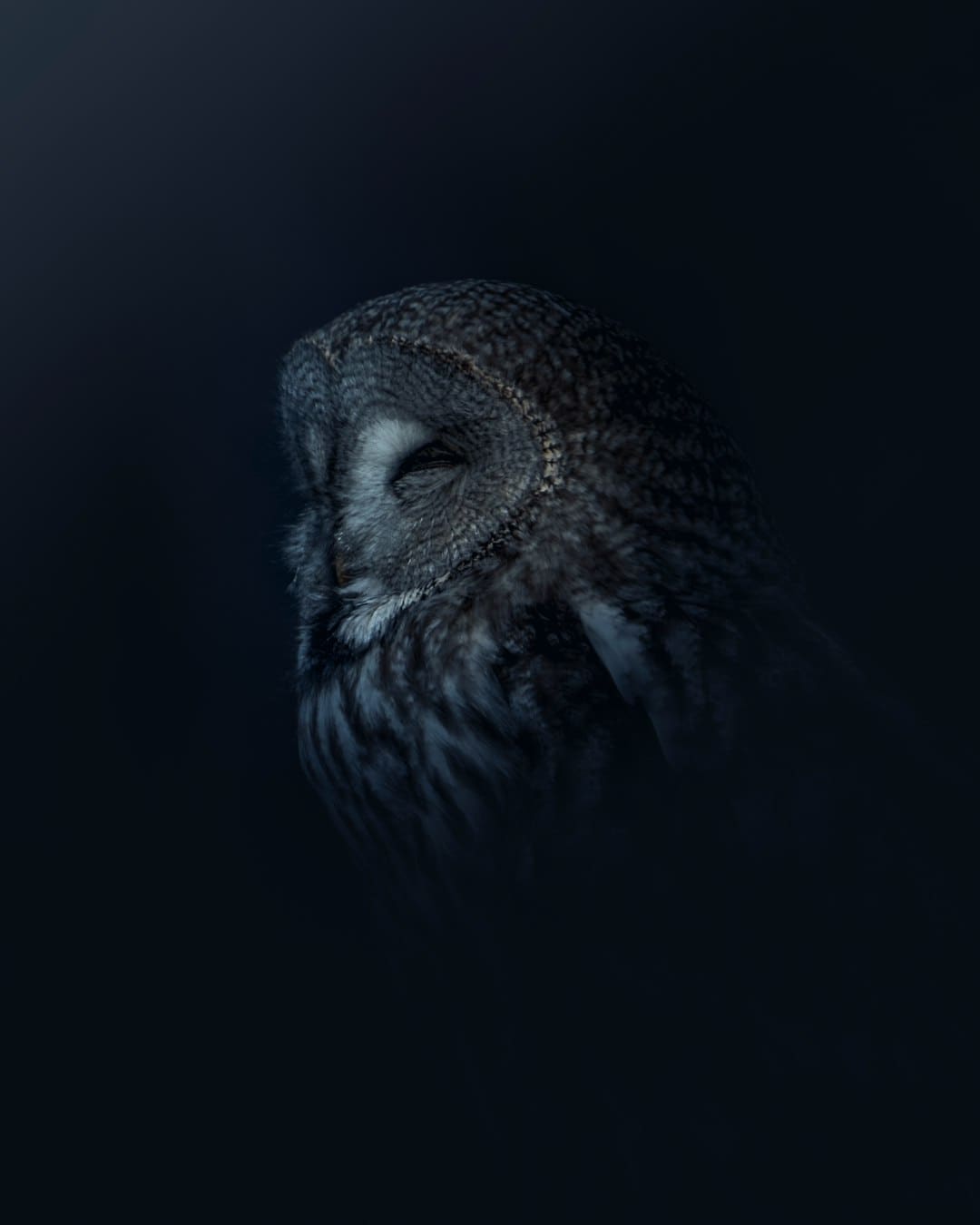 http://n.sinaimg.cn/front/w600h400/20180311/2zZh-fxpwyhx0494135.jpg?zdy